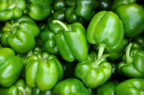 もはやメリットしかない！ピーマンの『冷凍保存』を本気でオススメする理由