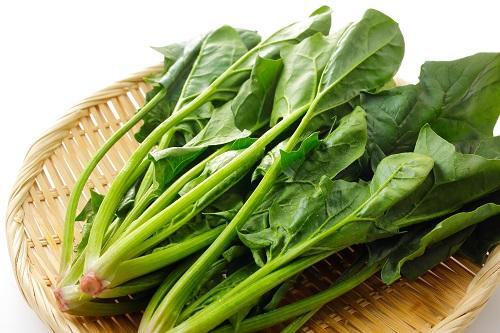 捨てるところなし！ほうれん草は“赤い根元”こそ【栄養豊富】⇒「捨ててました…」「次から食べます！」