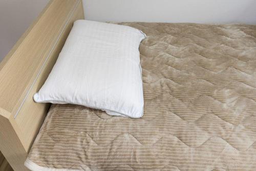 ダニ…カビ…頭皮にも最悪！枕はきちんと洗うべし！みんな週に何回くらい洗ってる？