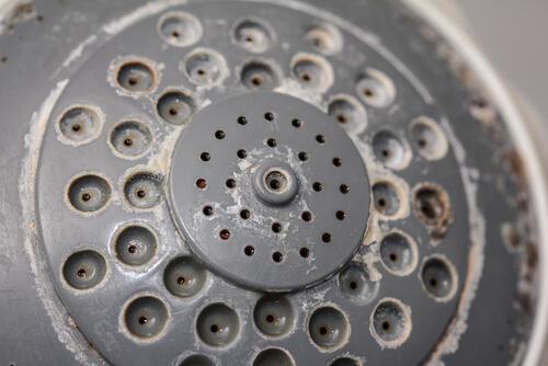 戦慄…毎日“カビ”を浴びているかも…！？シャワーヘッドを【掃除していない人】は絶対にやって！