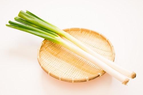 【長ネギ】いつも傷んで困る人は『保存方法』を見直してみて！⇒「え？寝かせちゃダメなの…？」