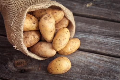 【じゃがいもレシピ】じゃがいも料理をとことん味わおう