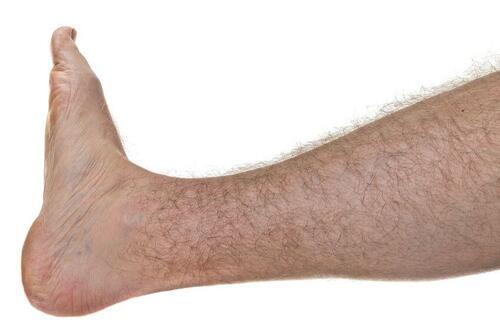 毛がモジャモジャに生えた男性のすねの写真