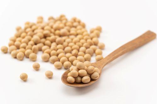 ソイプロテイン