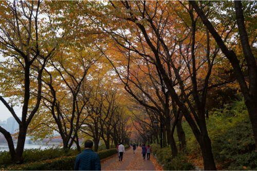 ウォーキングコースを決める方法！役立つアプリや専用サイトも紹介